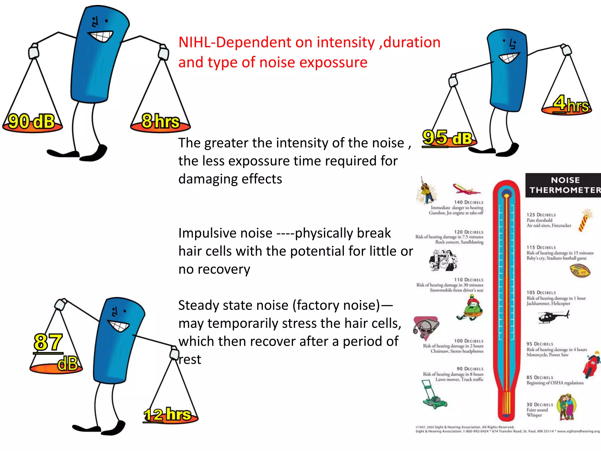 NIHL-Dependent on intensity ,duration
and type of noise expossure
The greater the intensity of the noise ,
the less expossure time required for
damaging effects
Impulsive noise ----physically break
hair cells with the potential for little or
no recovery
Steady state noise (factory noise)—
may temporarily stress the hair cells,
which then recover after a period of
rest
 