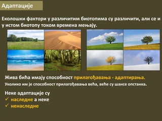 Адаптације
Еколошки фактори у различитим биотопима су различити, али се и
у истом биотопу током времена мењају.
Жива бића имају способност прилагођавања - адаптирања.
Уколико им је способност прилагођавања већа, веће су шансе опстанка.
Неке адаптације су
 наследне а неке
 ненаследне
 