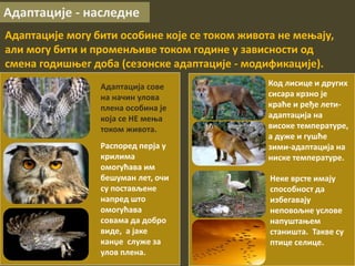 Адаптације - наследне
Адаптације могу бити особине које се током живота не мењају,
али могу бити и променљиве током године у зависности од
смена годишњег доба (сезонске адаптације - модификације).
Адаптација сове
на начин улова
плена особина је
која се НЕ мења
током живота.
Распоред перја у
крилима
омогућава им
бешуман лет, очи
су постављене
напред што
омогућава
совама да добро
виде, а јаке
канџе служе за
улов плена.
Неке врсте имају
способност да
избегавају
неповољне услове
напуштањем
станишта. Такве су
птице селице.
Код лисице и других
сисара крзно је
краће и ређе лети-
адаптација на
високе температуре,
а дуже и гушће
зими-адаптација на
ниске температуре.
 