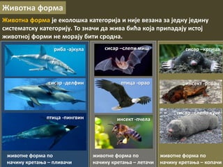Животна форма
Животна форма је еколошка категорија и није везана за једну једину
систематску категорију. То значи да жива бића која припадају истој
животној форми не морају бити сродна.
животне форма по
начину кретања – пливачи
риба -ајкула
сисар -делфин
птица -пингвин
сисар –слепи миш
птица -орао
инсект -пчела
сисар –кртица
инсект -ровац
сисар –слепо куче
животне форма по
начину кретања – летачи
животне форма по
начину кретања – копачи
 
