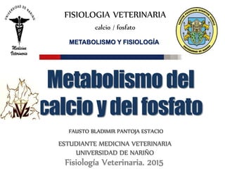 FISIOLOGIA VETERINARIA
calcio / fosfato
METABOLISMO Y FISIOLOGÍA
FAUSTO BLADIMIR PANTOJA ESTACIO
Fisiología Veterinaria. 2015
ESTUDIANTE MEDICINA VETERINARIA
UNIVERSIDAD DE NARIÑO
Metabolismodel
calcioydelfosfato
 