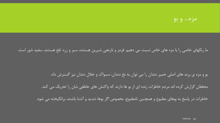 ‫مزه‬...‫و‬‫بو‬
‫دهیم‬ ‫می‬ ‫نسبت‬ ‫خاص‬ ‫های‬ ‫مزه‬ ‫با‬ ‫را‬ ‫خاصی‬ ‫رنگهای‬ ‫ما‬.‫تلخ‬ ‫زرد‬ ‫و‬ ‫سبز‬ ،‫هستند‬ ‫شیرین‬ ‫نارنجی‬ ‫و‬ ‫قرمز‬،‫هستند‬‫ا‬ ‫شور‬ ‫سفید‬‫ست‬.
،‫دندان‬ ‫نخ‬ ‫به‬ ‫توان‬ ‫می‬ ‫را‬ ‫دندان‬ ‫خمیر‬ ‫اصلی‬ ‫های‬ ‫برند‬ ‫ی‬ ‫مزه‬ ‫و‬ ‫بو‬‫مسواک‬‫داد‬ ‫گسترش‬ ‫نیز‬ ‫دندان‬ ‫خالل‬ ‫و‬.
‫کند‬ ‫می‬ ‫تحریک‬ ‫را‬ ‫شان‬ ‫عاطفی‬ ‫های‬ ‫واکنش‬ ‫که‬ ‫دارند‬ ‫ها‬ ‫بو‬ ‫از‬ ‫ای‬ ‫زنده‬ ‫خاطرات‬ ‫مردم‬ ‫اند‬ ‫کرده‬ ‫گزارش‬ ‫محققان‬.
‫همچنین‬ ‫و‬ ‫مطبوع‬ ‫بوهای‬ ‫به‬ ‫پاسخ‬ ‫در‬ ‫خاطرات‬،‫نامطبوع‬‫شود‬ ‫می‬ ‫برانگیخته‬ ،‫باشند‬ ‫آشنا‬ ‫و‬ ‫شدید‬ ‫بوها‬ ‫اگر‬ ‫بخصوص‬.
mooma 42
 