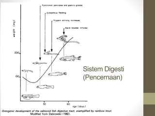 Sistem Digesti
(Pencernaan)
 
