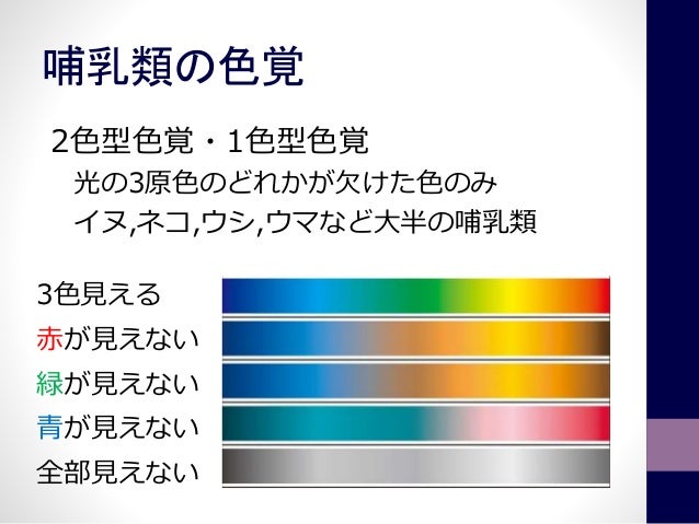 Color Vision
