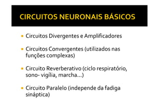 Função do sistema nervoso. Slide 29