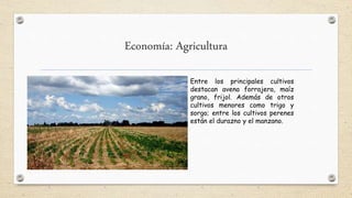 Economía: Agricultura
Entre los principales cultivos
destacan avena forrajera, maíz
grano, frijol. Además de otros
cultivos menores como trigo y
sorgo; entre los cultivos perenes
están el durazno y el manzano.
 