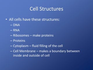 Cell Structures
• All cells have these structures:
– DNA
– RNA
– Ribosomes – make proteins
– Proteins
– Cytoplasm – fluid filling of the cell
– Cell Membrane – makes a boundary between
inside and outside of cell
 