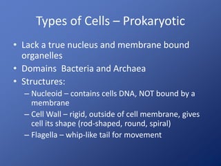 Types of Cells – Prokaryotic
• Lack a true nucleus and membrane bound
organelles
• Domains Bacteria and Archaea
• Structures:
– Nucleoid – contains cells DNA, NOT bound by a
membrane
– Cell Wall – rigid, outside of cell membrane, gives
cell its shape (rod-shaped, round, spiral)
– Flagella – whip-like tail for movement
 