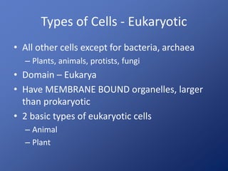 Types of Cells - Eukaryotic
• All other cells except for bacteria, archaea
– Plants, animals, protists, fungi
• Domain – Eukarya
• Have MEMBRANE BOUND organelles, larger
than prokaryotic
• 2 basic types of eukaryotic cells
– Animal
– Plant
 