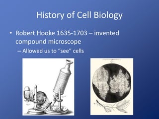 History of Cell Biology
• Robert Hooke 1635-1703 – invented
compound microscope
– Allowed us to “see” cells
 