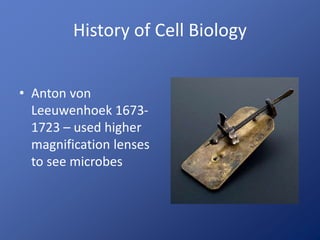 History of Cell Biology
• Anton von
Leeuwenhoek 1673-
1723 – used higher
magnification lenses
to see microbes
 