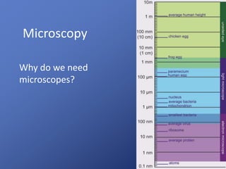 Microscopy
Why do we need
microscopes?
 