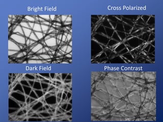 Dark Field
Cross PolarizedBright Field
Phase Contrast
 