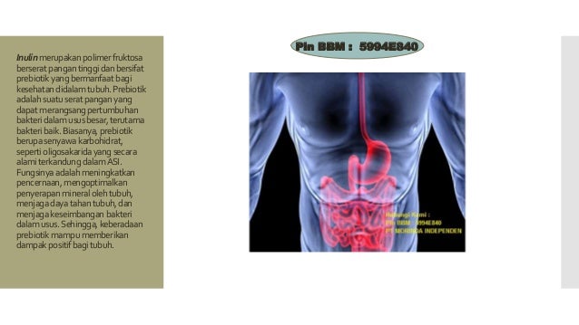 PIN BB 5994E840 Diet Untuk  Kurus  Badan  Diet Kuruskan 