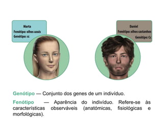 Genótipo — Conjunto dos genes de um indivíduo.
Fenótipo — Aparência do indivíduo. Refere-se às
características observáveis (anatómicas, fisiológicas e
morfológicas).
 