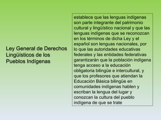 Ley General de Derechos
Lingüísticos de los
Pueblos Indígenas
establece que las lenguas indígenas
son parte integrante del patrimonio
cultural y lingüístico nacional y que las
lenguas indígenas que se reconozcan
en los términos de dicha Ley y el
español son lenguas nacionales, por
lo que las autoridades educativas
federales y las entidades federativas
garantizarán que la población indígena
tenga acceso a la educación
obligatoria bilingüe e intercultural, y
que los profesores que atiendan la
Educación Básica bilingüe en
comunidades indígenas hablen y
escriban la lengua del lugar y
conozcan la cultura del pueblo
indígena de que se trate
 