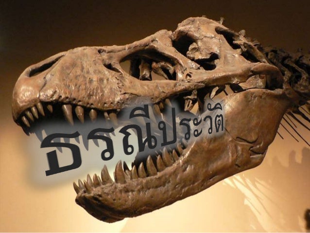 Image result for ธรณีประวัติ