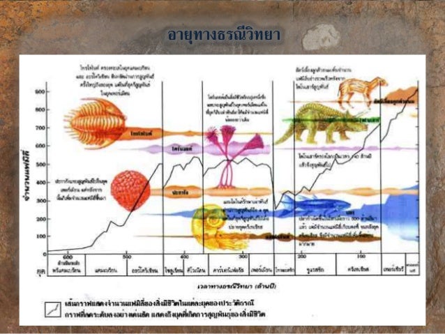 ผลการค้นหารูปภาพสำหรับ อายุสัมบูรณ์สรุป