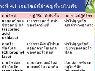 Fruit and vegetable
แอสคอบิกแอ
ซิดออกซิเดส
(ascorbic
acid
oxidase)
เร่งการออกซิเดชัน
ของวิตามินซี
ทำาให้สูญเสีย
คุณค่าทางอาหาร
คลอโร
ฟิลล์เลส
(Chlorophyl
lase)
เร่งการดึงหมู่ไฟทอ
ลออกจากโมเลกุล
ของคลอโรฟิลล์
ทำาให้สูญเสียสี
เขียวของคลอโร
ฟิลล์
เอนไซม์อะ
มิโลไลติก
ย่อยสลายอะมิโลส
และอะมิโล เพคติน
ย่อยสลายพันธะ
กลูโคซิดิก
เอนไซม์ ปฏิกิริยาที่เกิดขึ้น ผลของปฏิกิริยา
างที่ 4.1 เอนไซม์ที่สำาคัญที่พบในพืช
 