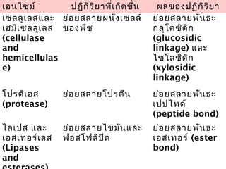 Fruit and vegetable
เซลลูเลสและ
เฮมิเซลลูเลส
(cellulase
and
hemicellulas
e)
ย่อยสลายผนังเซลล์
ของพืช
ย่อยสลายพันธะ
กลูโคซิดิก
(glucosidic
linkage) และ
ไซโลซิดิก
(xylosidic
linkage)
โปรติเอส
(protease)
ย่อยสลายโปรตีน ย่อยสลายพันธะ
เปปไทด์
(peptide bond)
ไลเปส และ
เอสเทอร์เลส
(Lipases
and
ย่อยสลายไขมันและ
ฟอสโฟลิปิด
ย่อยสลายพันธะ
เอสเทอร์ (ester
bond)
เอนไซม์ ปฏิกิริยาที่เกิดขึ้น ผลของปฏิกิริยา
 