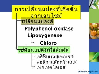 Fruit and vegetable
การเปลี่ยนแปลงที่เกิดขึ้น
จากเอนไซม์
เปลี่ยนแปลงสี
Chloro
phylla
se
Lipoxygenase
Polyphenol oxidase
เปลี่ยนแปลงเนื้อสัมผัส
เพคตินเอสเทอเรส
พอลิกาแล็กทูโรแนส
เพกเทตไลเอส
 