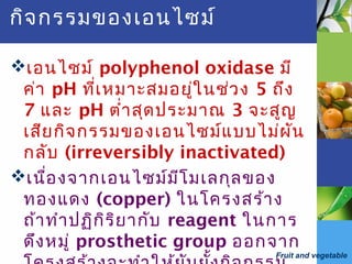 Fruit and vegetable
กิจกรรมของเอนไซม์
เอนไซม์ polyphenol oxidase มี
ค่า pH ที่เหมาะสมอยู่ในช่วง 5 ถึง
7 และ pH ตำ่าสุดประมาณ 3 จะสูญ
เสียกิจกรรมของเอนไซม์แบบไม่ผัน
กลับ (irreversibly inactivated)
เนื่องจากเอนไซม์มีโมเลกุลของ
ทองแดง (copper) ในโครงสร้าง
ถ้าทำาปฏิกิริยากับ reagent ในการ
ดึงหมู่ prosthetic group ออกจาก
 