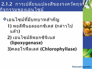 Fruit and vegetable
2.1.2 การเปลี่ยนแปลงสีของรงควัตถุจาก
กิจกรรมของเอนไซม์
เอนไซม์ที่มีบทบาทสำาคัญ
1) พอลีฟีนอลออกซิเดส (กล่าวไป
แล้ว)
2) เอนไซม์ลิพอกซิจิเนส
(lipoxygenase)
3)คลอโรฟีลเลส (Chlorophyllase)
 