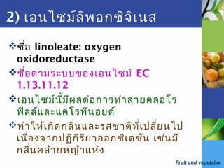 Fruit and vegetable
2) เอนไซม์ลิพอกซิจิเนส
ชื่อ linoleate: oxygen
oxidoreductase
ชื่อตามระบบของเอนไซม์ EC
1.13.11.12
เอนไซม์นี้มีผลต่อการทำาลายคลอโร
ฟิลล์และแคโรทีนอยด์
ทำาให้เกิดกลิ่นและรสชาติที่เปลี่ยนไป
เนื่องจากปฏิกิริยาออกซิเดชัน เช่นมี
กลิ่นคล้ายหญ้าแห้ง
 