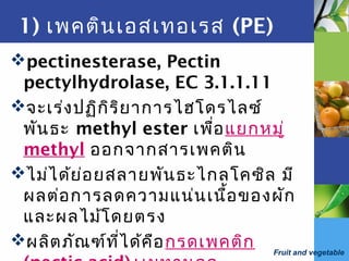 Fruit and vegetable
1) เพคตินเอสเทอเรส (PE)
pectinesterase, Pectin
pectylhydrolase, EC 3.1.1.11
จะเร่งปฏิกิริยาการไฮโดรไลซ์
พันธะ methyl ester เพื่อแยกหมู่
methyl ออกจากสารเพคติน
ไม่ได้ย่อยสลายพันธะไกลโคซิล มี
ผลต่อการลดความแน่นเนื้อของผัก
และผลไม้โดยตรง
ผลิตภัณฑ์ที่ได้คือกรดเพคติก
 
