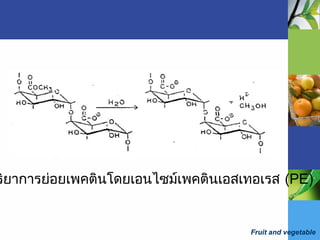 Fruit and vegetable
ริยาการย่อยเพคตินโดยเอนไซม์เพคตินเอสเทอเรส (PE)
 