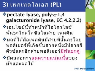 Fruit and vegetable
3) เพกเทตไลเอส (PL)
pectate lyase, poly-α-1,4
galacturonide lyase, EC 4.2.2.2)
เอนไซม์นี้ทำาหน้าที่ไฮโดรไลซ์
พันธะไกลโคซิลในสาย เพคติน
ผลที่ได้คือเพคตินมีสายที่สั้นลงโดย
พอลิเมอร์ที่เกิดขึ้นสายหนึ่งมีปลายรี
ดีวซ์และอีกสายพอลิเมอร์มีพันธะคู่
มีผลต่อการลดความแน่นเนื้อของ
ผักและผลไม้
 