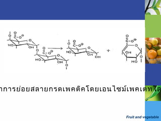 Fruit and vegetable
าการย่อยสลายกรดเพคติคโดยเอนไซม์เพคเตทไล
 