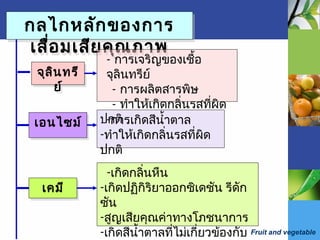 Fruit and vegetable
กลไกหลักของการ
เสื่อมเสียคุณภาพ
กลไกหลักของการ
เสื่อมเสียคุณภาพ
จุลินทรี
ย์
จุลินทรี
ย์
เอนไซม์เอนไซม์
เคมีเคมี
- การเจริญของเชื้อ
จุลินทรีย์
- การผลิตสารพิษ
- ทำาให้เกิดกลิ่นรสที่ผิด
ปกติ-การเกิดสีนำ้าตาล
-ทำาให้เกิดกลิ่นรสที่ผิด
ปกติ
-เกิดกลิ่นหืน
-เกิดปฏิกิริยาออกซิเดชัน รีดัก
ซัน
-สูญเสียคุณค่าทางโภชนาการ
-เกิดสีนำ้าตาลที่ไม่เกี่ยวข้องกับ
 