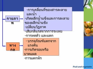 Fruit and vegetable
กายภา
พ
กายภา
พ
ทาง
กล
ทาง
กล
-การเคลื่อนที่ของสารละลาย
และนำ้า
-เกิดผลึกนำ้าแข็งและการละลาย
ของผลึกนำ้าแข็ง
-เปลี่ยนวัฏภาค
-เสียกลิ่นรสจากการระเหย
-การหดตัว และแตก
- บรรจุภัณฑ์แตกจาก
แรงดัน
-การเกิดรอยหรือ
บาดแผล
-การแตกหัก
 
