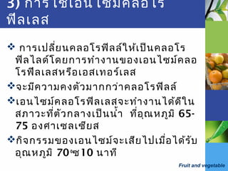 Fruit and vegetable
3) การใช้เอนไซม์คลอโร
ฟีลเลส
 การเปลี่ยนคลอโรฟิลล์ให้เป็นคลอโร
ฟิลไลด์โดยการทำางานของเอนไซม์คลอ
โรฟีลเลสหรือเอสเทอร์เลส
จะมีความคงตัวมากกว่าคลอโรฟิลล์
เอนไซม์คลอโรฟิลเลสจะทำางานได้ดีใน
สภาวะที่ตัวกลางเป็นนำ้า ที่อุณหภูมิ 65-
75 องศาเซลเซียส
กิจกรรมของเอนไซม์จะเสียไปเมื่อได้รับ
อุณหภูมิ 70o
ซ10 นาที
 