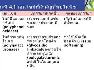 Fruit and vegetable
างที่ 4.1 เอนไซม์ที่สำาคัญที่พบในพืช
เอนไซม์ ปฏิกิริยาที่เกิดขึ้น ผลของปฏิกิริยา
โพลีฟีนอลออ
กซิเดส
(polyphenol
oxidase)
เร่งการออกซิเดชัน
ของสารประกอบฟี
นอล
เกิดโพลิเมอร์ที่มี
สีนำ้าตาล
โพลีกาแลกทู
โรเนส
(polygalact
uronase)
เร่งการสลายตัวของ
พันธะไกลโคซิดิก
(glycosidic
linkage)ของกรดโพ
ลีกาแลกทูโลนิก
(polygalacturonic
acid) ในโมเลกุลเพ
คติน
ทำาให้เนื้อเยื่อ
อ่อนตัว (Tissue
softening)
 