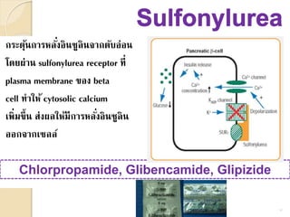 กระตุ้นการหลั่งอินซูลินจากตับอ่อน
โดยผ่าน sulfonylurea receptor ที่
plasma membrane ของ beta
cell ทาให้ cytosolic calcium
เพิ่มขึ้น ส่งผลให้มีการหลั่งอินซูลิน
ออกจากเซลล์
Chlorpropamide, Glibencamide, Glipizide
14
 