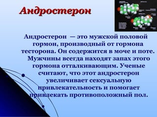 АндростеронАндростерон
Андростерон — это мужской половой
гормон, производный от гормона
тесторона. Он содержится в моче и поте.
Мужчины всегда находят запах этого
гормона отталкивающим. Ученые
считают, что этот андростерон
увеличивает сексуальную
привлекательность и помогает
привлекать противоположный пол.
 