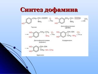 Синтез дофаминаСинтез дофамина
 