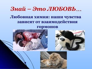 Знай – Это ЛЮБОВЬ……
Любовная химия: наши чувства
зависят от взаимодействия
гормонов
 