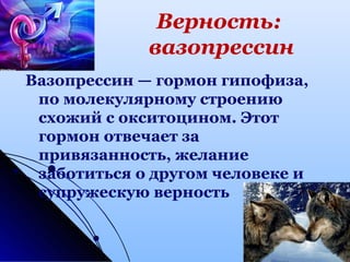 Верность:
вазопрессин
Вазопрессин — гормон гипофиза,
по молекулярному строению
схожий с окситоцином. Этот
гормон отвечает за
привязанность, желание
заботиться о другом человеке и
супружескую верность
 