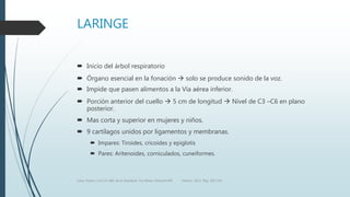 LARINGE
 Inicio del árbol respiratorio
 Órgano esencial en la fonación  solo se produce sonido de la voz.
 Impide que pasen alimentos a la Vía aérea inferior.
 Porción anterior del cuello  5 cm de longitud  Nivel de C3 –C6 en plano
posterior.
 Mas corta y superior en mujeres y niños.
 9 cartílagos unidos por ligamentos y membranas.
 Impares: Tiroides, cricoides y epiglotis
 Pares: Aritenoides, corniculados, cuneiformes.
Luna, Pastor y Col. EL ABC de la Anestesia. Vía Aérea. Editorial Alfil. México. 2011. Pág. 183-214.
 