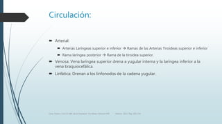 Circulación:
 Arterial:
 Arterias Laríngeas superior e inferior  Ramas de las Arterias Tiroideas superior e inferior
 Rama laríngea posterior  Rama de la tiroidea superior.
 Venosa: Vena laríngea superior drena a yugular interna y la laríngea inferior a la
vena braquiocefálica.
 Linfática: Drenan a los linfonodos de la cadena yugular.
Luna, Pastor y Col. EL ABC de la Anestesia. Vía Aérea. Editorial Alfil. México. 2011. Pág. 183-214.
 