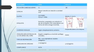 Luna, Pastor y Col. EL ABC de la Anestesia. Vía Aérea. Editorial Alfil. México. 2011. Pág. 183-214.
 