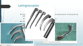 Laringoscopios
 Dispositivos de intubación  permite ver la glotis directamente  Colocación de
tubo
 Mango + Hojas curvas (Macintosh) o planas (Miller)
 Airtraq  especial  mas complejo.
Grupo CTO. Manual CTO de Medicina y Cirugía. Anestesiología. Vía aérea. Editorial CTO. Madrid. 2014. Pág. 7-16. Vacanti,
Chales A. et al. Essential Clinical Anesthesia. Airway Management. New York. Cambrige University Press. 2011. Pag. 95-120.
 