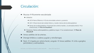 Circulación:
 Mucosa  Ricamente vascularizada
 Anterior:
 ACI Rama Oftalmica  Da las etmoidales anterior y posterior.
 ACE  Rama facial (da la labial inferior y maxilar interna (da la esfenopalatina)
 Ramas de la esfenopalatina  terminal de la arteria maxilar y la etmoidal anterior  se
anastomosan  Plexo de Kiesselbach.
 Posterior: Rama esfenopalatina y palatina mayor  se anastomosan  Plexo de
Woodruff
 Venas satélites de las arterias.
 Drenaje linfático a cadena yugular y retrofaringea.
 Nariz  irrigada por arteria facial y angular  Venas satélites  Linfa a ganglios
partotideos y submaxilares.
Luna, Pastor y Col. EL ABC de la Anestesia. Vía Aérea. Editorial Alfil. México. 2011. Pág. 183-214.
 