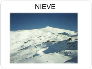 NIEVE
 