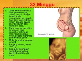 32 Minggu
1. Janin semakin sedikit
memperoleh ruang
dalam perut , dengan
letak kepala
menghadap ke bawah.
Tapi bisa juga, letaknya
masih dengan tulang
ekor di bawah dan
kepala di atas.
2. Pada saat ini, perut ibu
terkadang bisa
kontraksi sehingga
menimbulkan rasa
nyeri, seperti meremas
dan memijat janin.
3. Mulai tampak mengisap
jempol.
4. Panjang 40 cm, berat
1800 gr
5. bila lahir kelihatan
seperti orang tua
kecil atau little old
man.
 