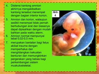 4. Distensi kantong amnion
akhirnya mengakibatkan
kantong tersebut menempel
dengan bagian interior korion.
5. Amnion dan korion, walaupun
sedikit menempel tidak pernah
berhubungan erat dan biasanya
dapat dipisahkan dengan mudah
bahkan pada waktu aterm.
6. Amnion normal mempunyai
tebal 0,02-0,5 mm.
7. merupakan bantalan bagi fetus
akibat trauma dengan
memperhalus dan
menghilangkan kekuatan
benturan dan memungkinkan
pergerakan yang bebas bagi
perkembangan sistem
muskuloskeletal.
 