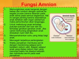 Fungsi Amnion
1. Memungkinkan anak bergerak dengan
bebas dan tumbuh dengan optimal ke
segala jurusan karena tekanan pada
anak sama pada semua bagiannya. Hal
ini sangat penting karena seandainya
anak tertekan oleh organ sekitarnya
maka pertumbuhan akan terganggu.
2. Untuk melindungi anak terhadap
pukulan-pukulan dari luar dan ibu
terhadap gerakan-gerakan anak. Jika
cairan berkurang pergerakan anak
dirasakan nyeri oleh ibu.
3. Mempertahankan suhu yang tetap bagi
anak.
4. Mencegah terjadinya perlengketan
5. Waktu persalinan membuka servik
dengan mendorong selaput janin
kedalam ostium uteri. Bagian selaput
anak yang diatas ostium uteri yang
menonjol waktu his disebut ketuban
dan membuka servik pada saat
persalinan.
 